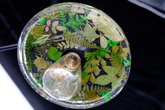 Botanico Three Light Chandelier