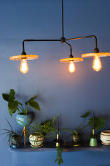 Botanico Three Light Chandelier