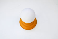Abeille Sconce or Flushmount