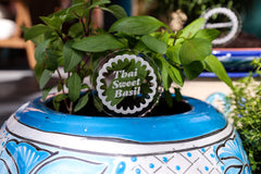 Scalloped Plant Markers