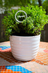 Scalloped Plant Markers