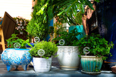 Scalloped Plant Markers