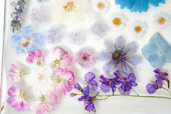 close up of flowers Handmade acrylic tray with clear resin base and silver metal handles, featuring an intricate arrangement of real pressed flowers in soft pastels and rich jewel tones. The floral composition includes daisies, violets, cosmos, hydrangeas, and roses in a palette of purples, blues, lavenders, and blush pinks. The vibrant blossoms are carefully preserved in a dreamy, organic layout, creating a romantic, nature-inspired serving tray or decorative catchall perfect for spring, gift giving, or ad