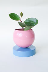 Color Blocked Planter