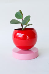 Color Blocked Planter