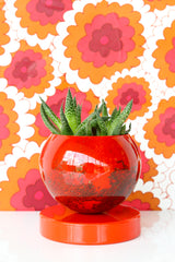 Flame Marbled Loa Planter