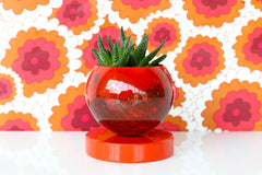 Flame Marbled Loa Planter