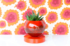 Flame Marbled Loa Planter