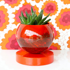 Flame Marbled Loa Planter