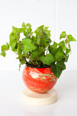 Flame, Cream, & Gold Marbled Loa Planter