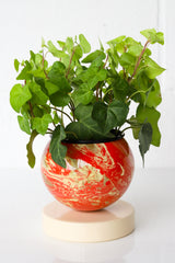 Flame, Cream, & Gold Marbled Loa Planter
