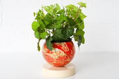 Flame, Cream, & Gold Marbled Loa Planter