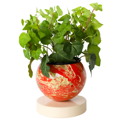 Flame, Cream, & Gold Marbled Loa Planter