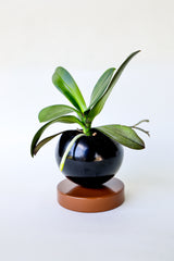 Color Blocked Planter