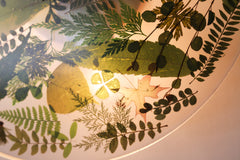 Large Botanico Sconce or Flushmount