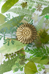 Large Botanico Sconce or Flushmount
