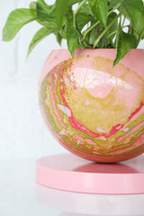 Large Blush Pink & Green Marbled Loa Planter