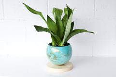 Large Teal, Aqua, Cream, & Gold Marbled Planter with Cream Base