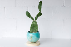 Large Teal, Aqua, Cream, & Gold Marbled Planter with Cream Base