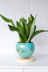 Large Teal, Aqua, Cream, & Gold Marbled Planter with Cream Base