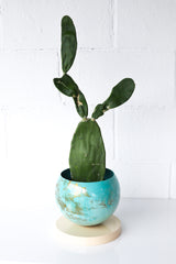 Large Teal, Aqua, Cream, & Gold Marbled Planter with Cream Base
