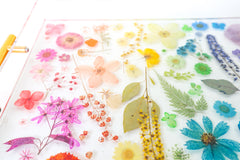 Details view Handmade acrylic tray featuring real dried and pressed flowers arranged in a rainbow gradient layout, with modern gold handles on either side. The flowers are suspended in clear resin, creating a vibrant, colorful design that is perfect for spring decor. Ideal for use as a vanity tray, coffee table tray, or bar accessory in bright, eclectic, or cottage-inspired interiors.