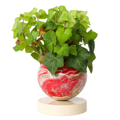 Red, Cream, & Gold Marbled Loa Planter