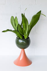 Schooner Planter