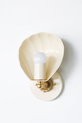 Coquille Sconce
