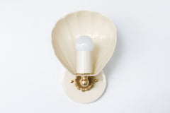 Coquille Sconce