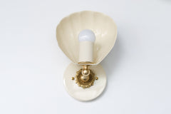 Coquille Sconce