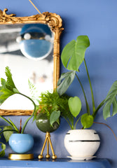 Delta Planter