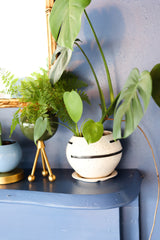 Delta Planter