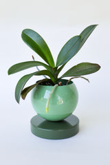 Color Blocked Planter