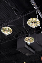 Close-up of a modern black ceiling light fixture with three circular lampshades embedded with white pressed flowers, leaves, and greenery, creating a bright and artistic design against a white background.