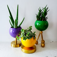 Loa Planter Trio