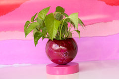 Black Cherry & Pink Marbled Loa Planters