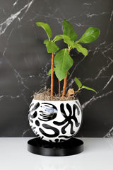 Large Black and White Squiggle Loa Planter