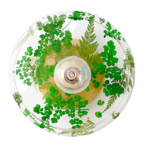 Botanico Sconce or Flushmount