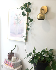 Brass Loa sconce in a bathroom remodel