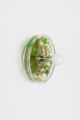 Botanico Sconce or Flushmount