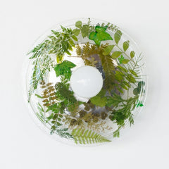 Modern wall sconce with real pressed leaves encapsulated in resin.  Modern wall sconce