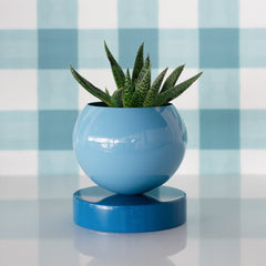Blue Colorblocked mid century modern style planter with a succulent in it