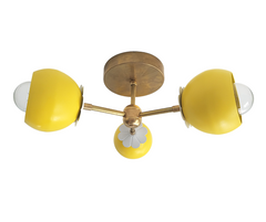 Daisy Loa Bicycle Club Sconce or Flushmount