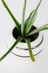 Delta Planter