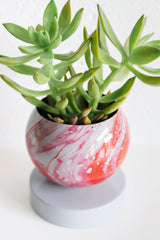 Grey, Pink, and Red Marbled Planter