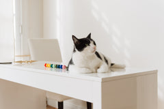 Gumball Drawer Pull