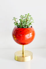 Marbled Red Lifted Loa Planter