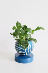 Navy Batik Inspired Loa Planter