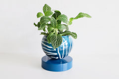 Navy Batik Inspired Loa Planter